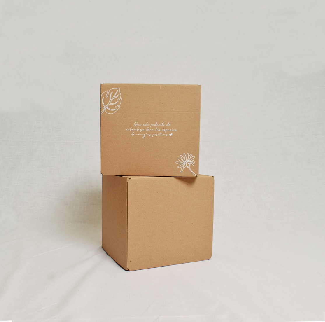 Caja E-Commerce / Grande - Cajas Personalizadas