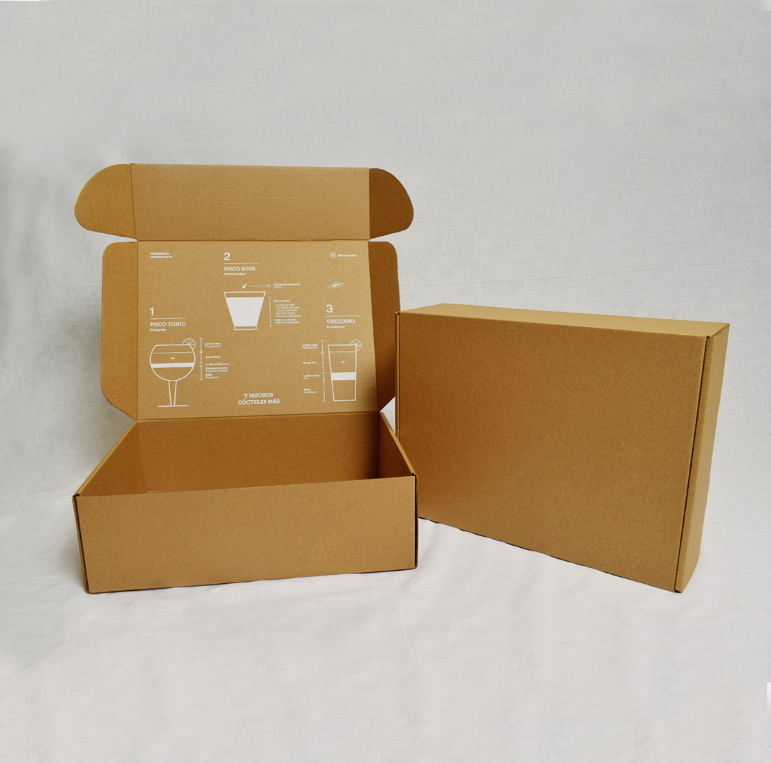 Caja E-Commerce / Grande - Cajas Personalizadas